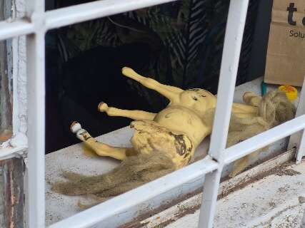 Vizinhos relatam abandono e brigas na casa onde crian&ccedil;a foi estuprada e morta 
