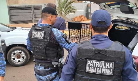 Homem &eacute; preso por manter a esposa em c&aacute;rcere privado por 7 dias