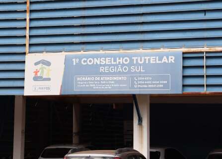 Morte de menina de 6 anos n&atilde;o foi reflexo de neglig&ecirc;ncia, garante conselheira