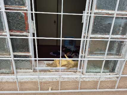Menina de 6 anos &eacute; estuprada e encontrada morta em casa de conhecido da fam&iacute;lia