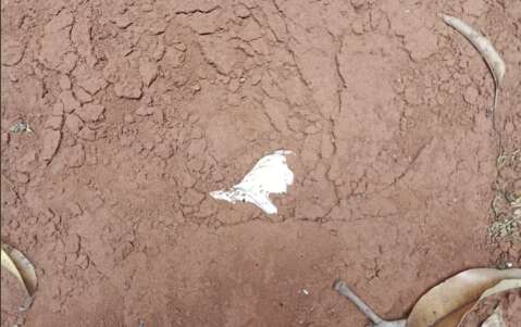 Gr&aacute;vida passa mal em posto e feto de 9 meses &eacute; encontrado enterrado no quintal