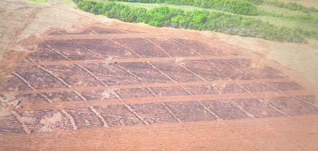 Multa de R$ 96 mil &eacute; aplicada por queimada irregular flagrada por sat&eacute;lite