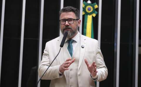 Pollon descarta candidatura em SP e reafirma foco na anistia