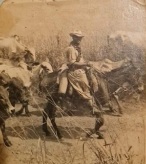 Festa do Pe&atilde;o de Barretos nasceu das comitivas que sa&iacute;am de MS