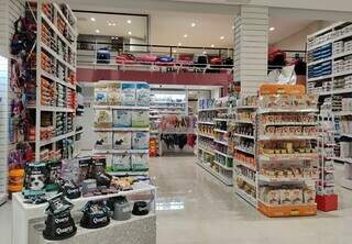 Amor com Patas inaugura na Capital com atendimento humanizado Amor com Patas inaugura na Capital com atendimento humanizado