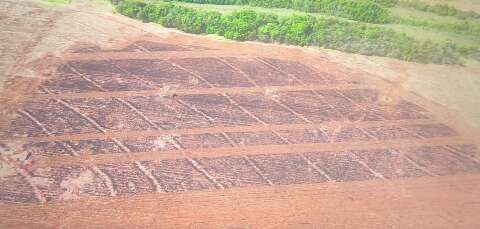 Multa de R$ 96 mil &eacute; aplicada por queimada irregular flagrada por sat&eacute;lite