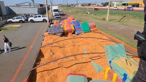 Carreta levava 10 toneladas de maconha escondidas em carga de milho