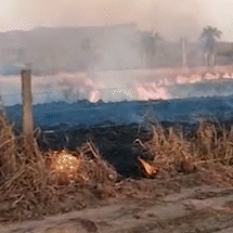 Ocorr&ecirc;ncias zeram no Pantanal, mas Corumb&aacute; sofre com queimadas na periferia