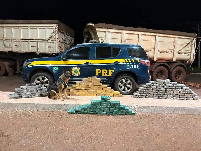 Caminhoneiro &eacute; preso com coca&iacute;na e pasta base em carga de min&eacute;rio 