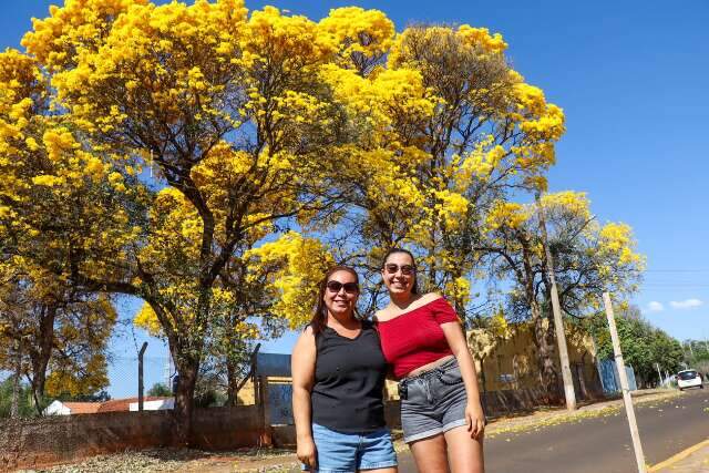 &#039;Loucas das &aacute;rvores&#039;: todo ano m&atilde;e e filha ca&ccedil;am ip&ecirc;s pelos bairros