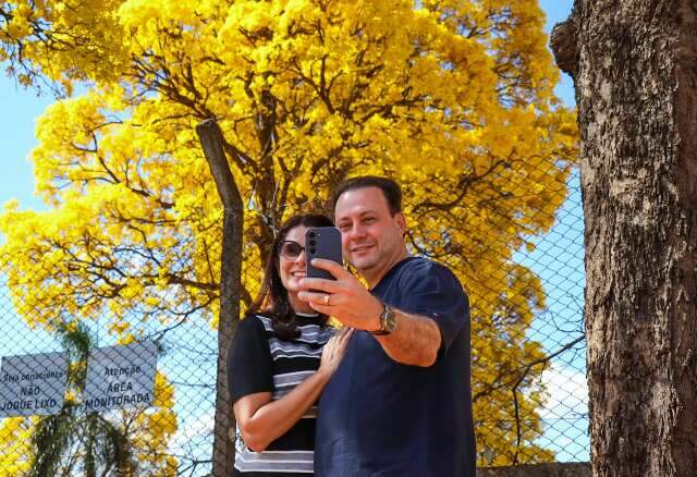 Ip&ecirc;s amarelos transformam rua em espet&aacute;culo de cor e atraem fam&iacute;lias