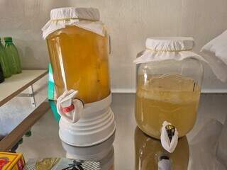 H&aacute; 7 anos, m&atilde;e faz kombucha para a filha no lugar do refrigerante comum 