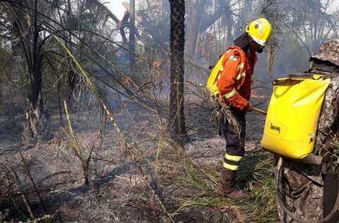 Resolu&ccedil;&atilde;o prev&ecirc; torre de vigil&acirc;ncia e ronda no combate ao fogo em im&oacute;veis rurais