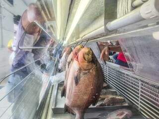 Voc&ecirc; pretende aproveitar a Semana do Pescado? Participe