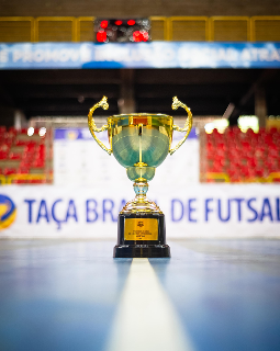MS tem representante &uacute;nico na Ta&ccedil;a Brasil de futsal feminino