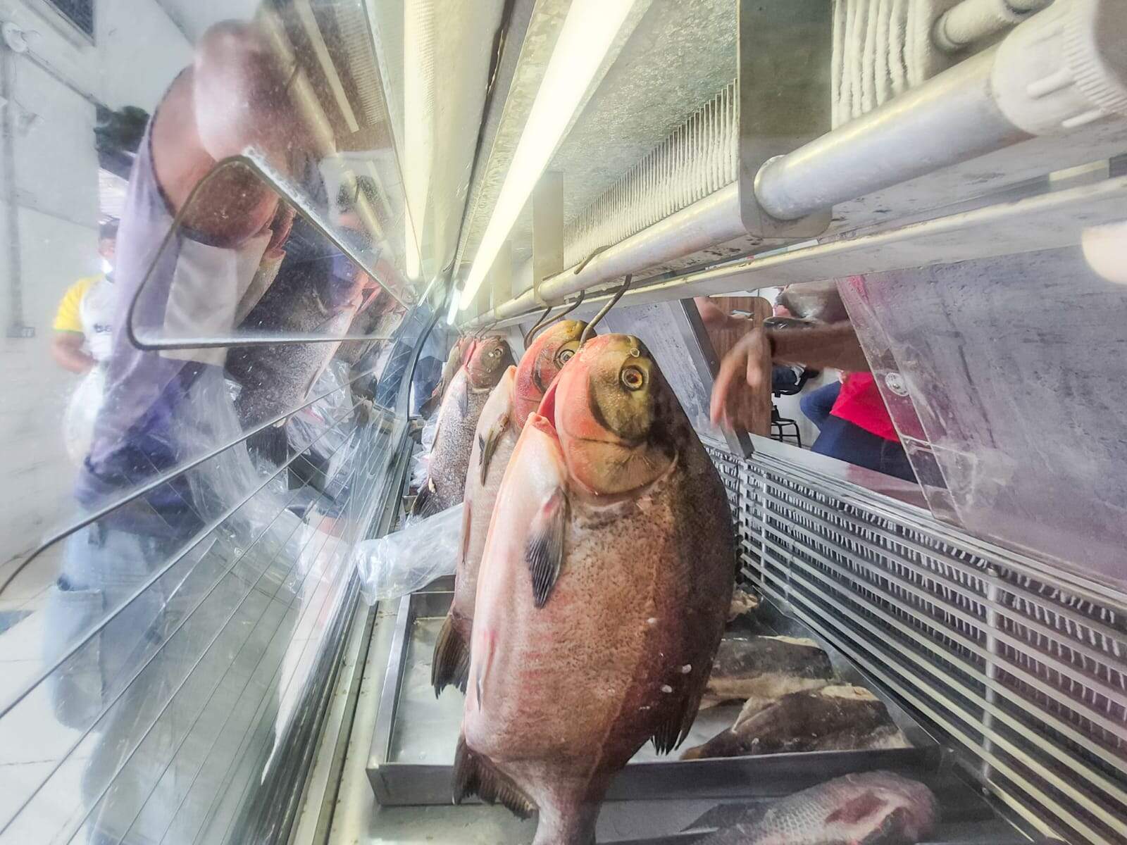 Imagem da Notícia