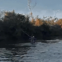 Pescador mergulha e trava luta de 40 minutos com pintado em MS