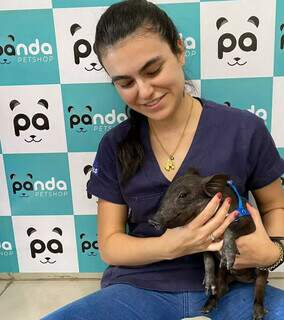 Dona paga at&eacute; spa para os cabritos Bento e Princesa em pet shop