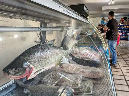 Enquete: 81% dos leitores dizem que n&atilde;o v&atilde;o aproveitar a Semana do Pescado
