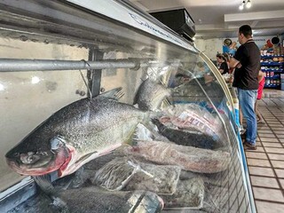 Enquete: 81% dos leitores dizem que n&atilde;o v&atilde;o aproveitar a Semana do Pescado