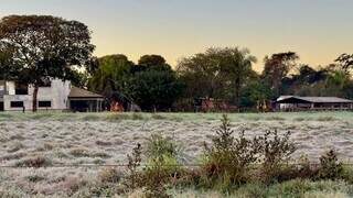 Em MS, temperaturas foram ao extremo, variando de -0,7ºC a 39ºC em agosto Em MS, temperaturas foram ao extremo, variando de -0,7ºC a 39ºC em agosto