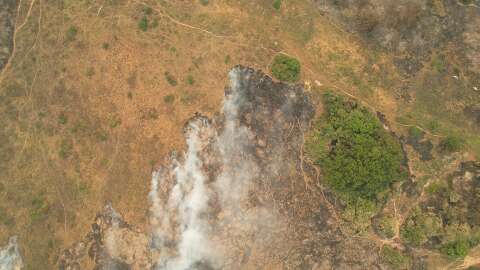 Queimadas caem 98% no Pantanal e 75% no Cerrado em MS