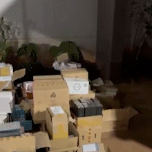PF e Receita estouram dep&oacute;sito de mercadorias ilegais vendidas pela internet