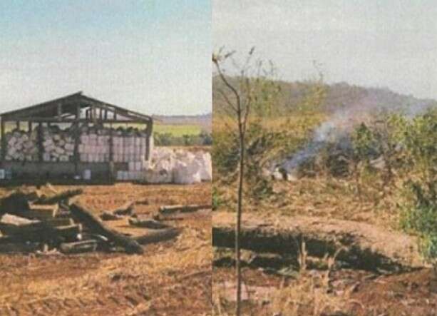 Queimada ilegal e agrot&oacute;xicos jogados no ch&atilde;o rendem multa de R$ 34 mil