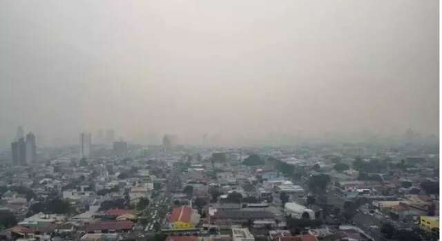 Inc&ecirc;ndios na Amaz&ocirc;nia que pioraram ar em 2024 tiveram reflexos em MS