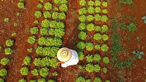 Prefeitura abre chamada p&uacute;blica para compra de alimentos da agricultura familiar