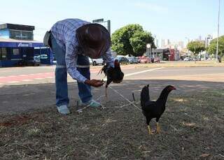 Rec&eacute;m-chegados a MS, venezuelanos improvisam &quot;banca de aves&quot; na Afonso Pena