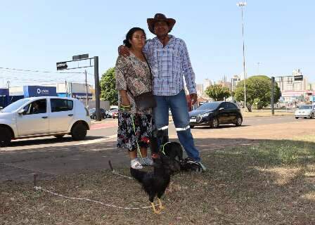 Venezuelanos montam &quot;banca de galinhas&quot; no canteiro da Afonso Pena
