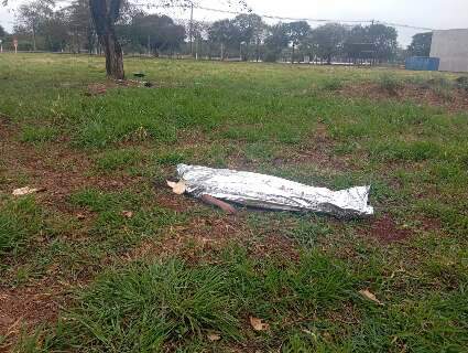 Homem &eacute; encontrado morto com corte na cabe&ccedil;a em parque