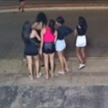 V&iacute;deos de atropelamentos e flagrante no Pantanal s&atilde;o destaques da semana