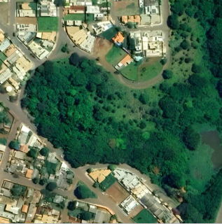 Cria&ccedil;&atilde;o de horto florestal na regi&atilde;o norte ser&aacute; discutida em audi&ecirc;ncia 