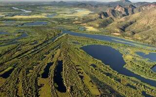 ONGs apontam falhas no Estatuto do Pantanal aprovado pelo Senado