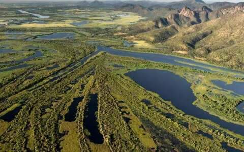 ONGs apontam falhas no Estatuto do Pantanal aprovado pelo Senado