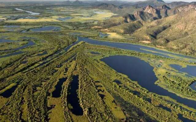 ONGs apontam falhas no Estatuto do Pantanal aprovado pelo Senado