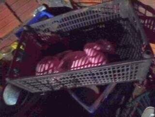 Bebê achado em quintal foi deixado por mãe adolescente que escondeu parto Bebê achado em quintal foi deixado por mãe adolescente que escondeu parto