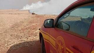 Inc&ecirc;ndio em lavoura cruza divisa de MS e GO e interdita a BR-060 com fuma&ccedil;a