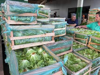 Oferta derruba pre&ccedil;os de hortali&ccedil;as em MS, mas frutas da entressafra encarecem