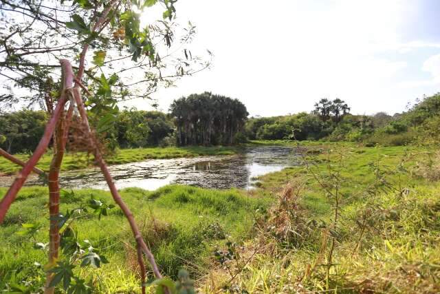 Projeto quer criar novo Horto Florestal em &aacute;rea de preserva&ccedil;&atilde;o