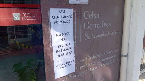 Infesta&ccedil;&atilde;o de abelhas provoca interdi&ccedil;&atilde;o e fecha escrit&oacute;rio de advocacia 