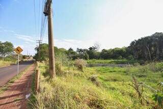 Projeto quer criar novo Horto Florestal em &aacute;rea de preserva&ccedil;&atilde;o