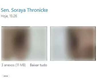 Stalker enviava fotos do &oacute;rg&atilde;o sexual por e-mail e chamava senadora de &quot;m&atilde;e&quot;