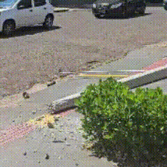 Caminh&atilde;o derruba dois postes e bate em carro no Bairro S&atilde;o Francisco