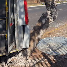 &Ocirc;nibus bate em poste e deixa tr&acirc;nsito lento em avenida movimentada da Capital