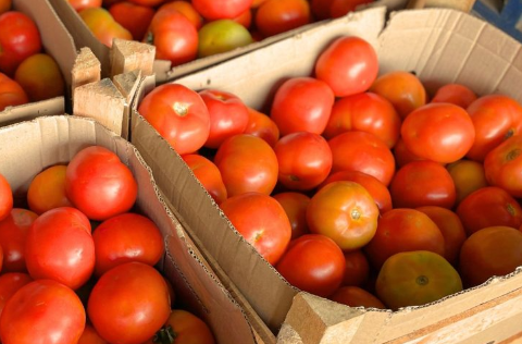 Campo Grande registra 3&ordf; defla&ccedil;&atilde;o seguida, puxada por energia e alimentos
