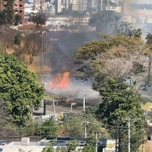 Calor de 35&deg;C e ventos fortes intensificam inc&ecirc;ndio em mata no S&atilde;o Francisco