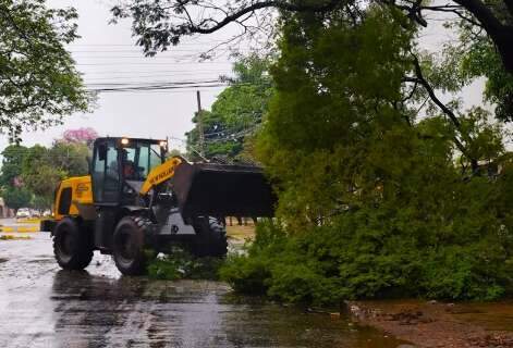 Agosto bateu recorde de chuva em 1 dia e teve temperaturas incomuns em MS